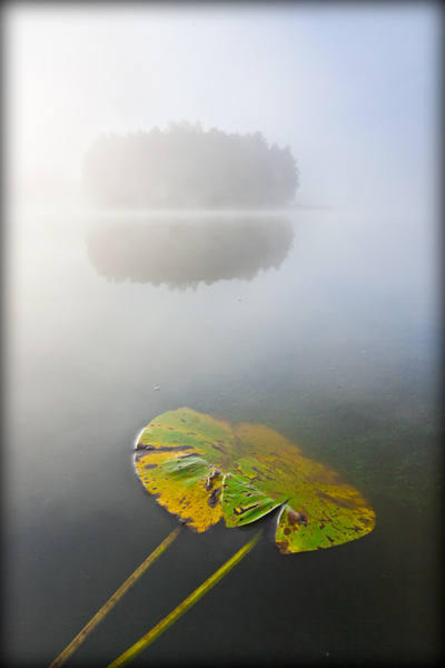 fotografia_jesien_36