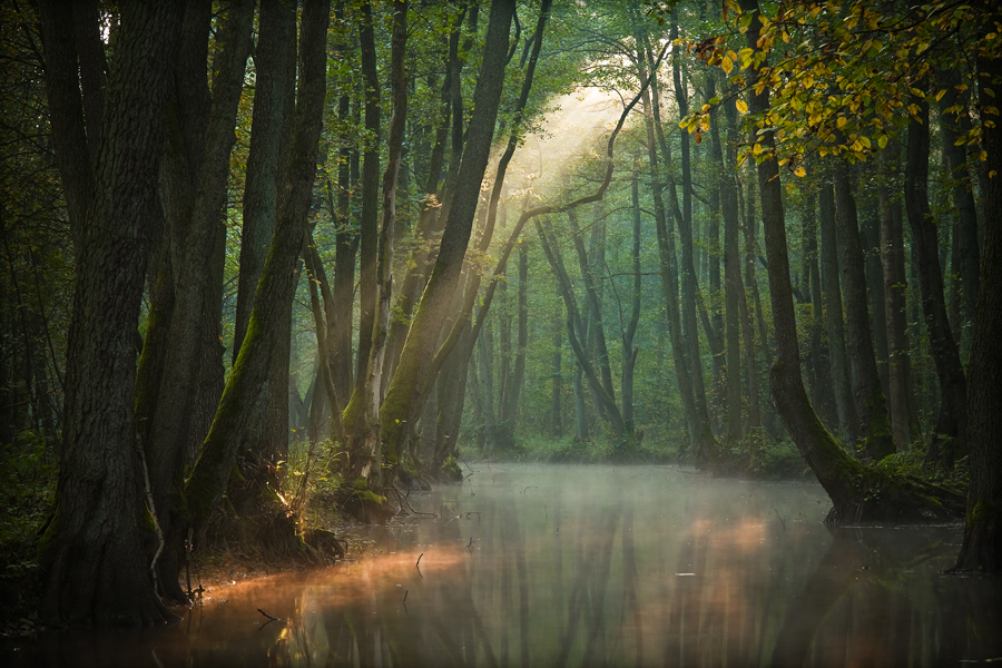 fotografia_jesien_73