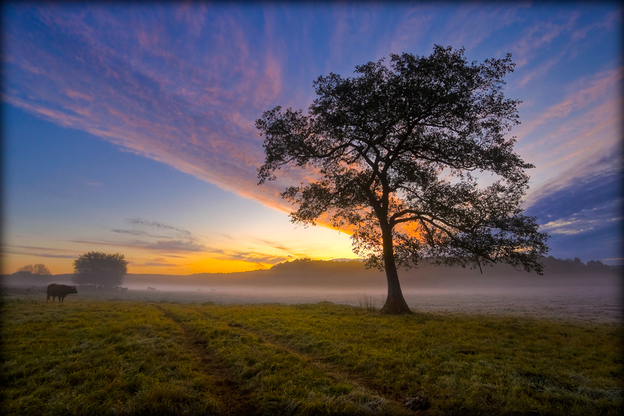 fotografia krajobrazu_3