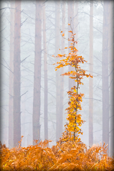 fotografia pejzażu_1