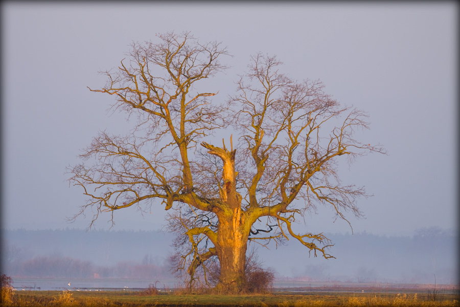 fotografia pejzażu_2
